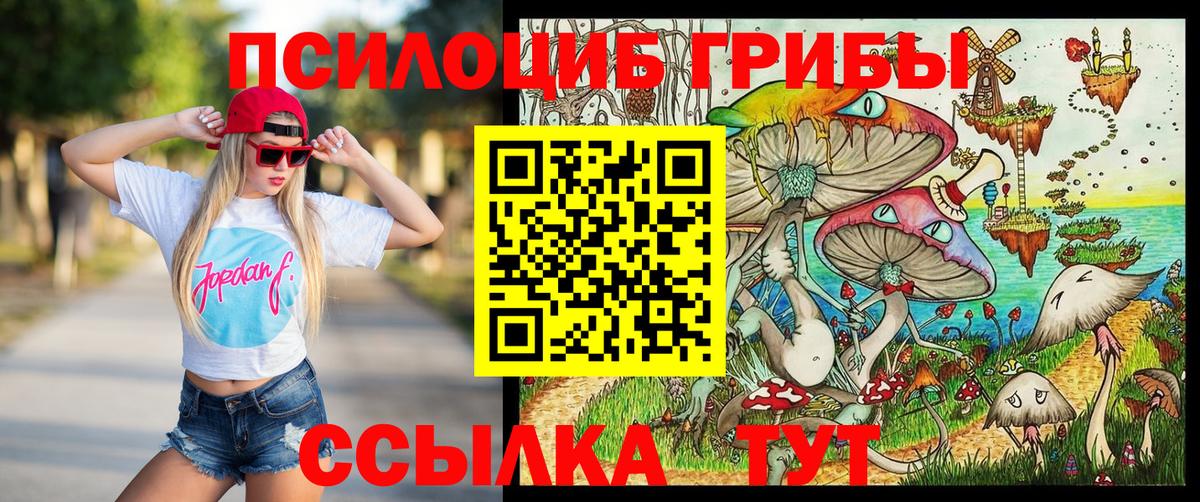 Псилоцибиновые грибы Cubensis  Вход с VPN  Рубцовск 