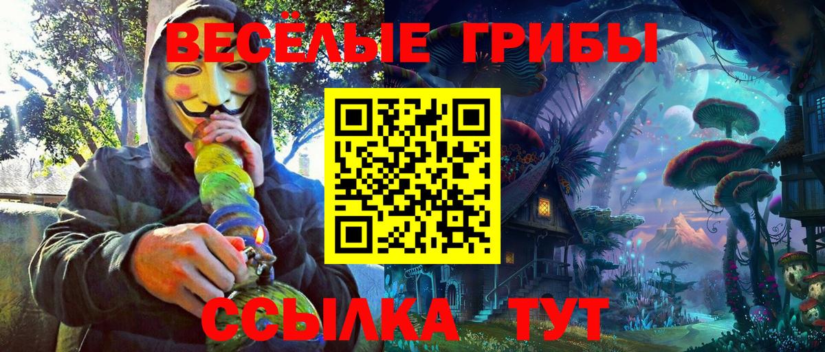 Псилоцибиновые грибы GOLDEN TEACHER Рубцовск